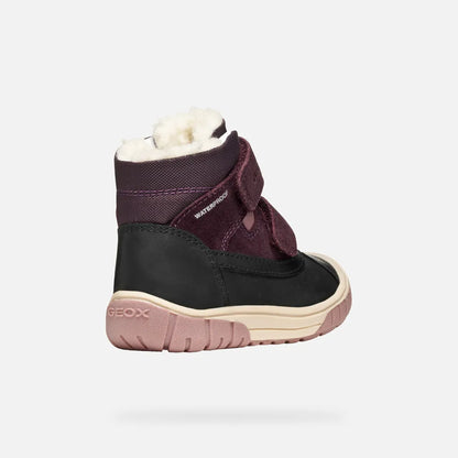 Black/Dark Purple