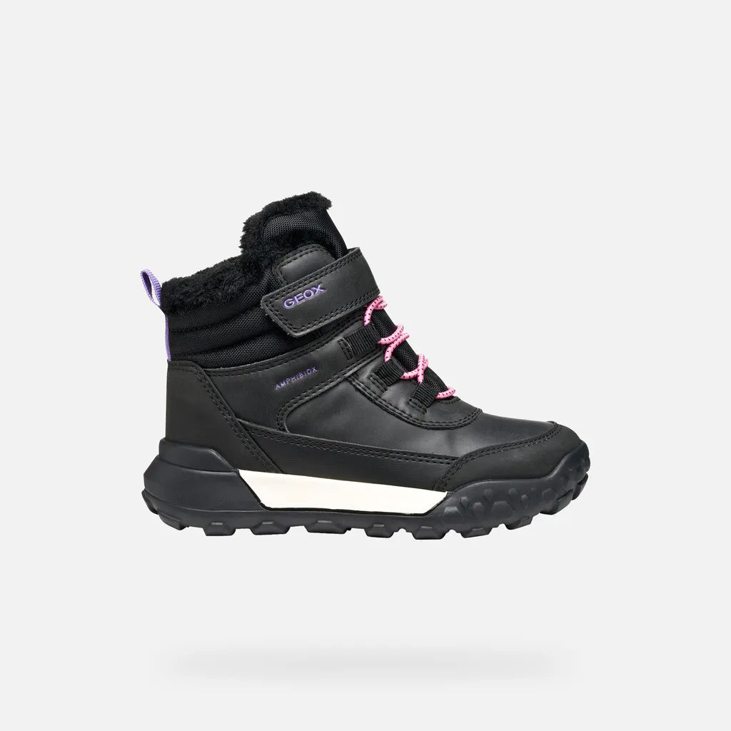 Black/Lilac