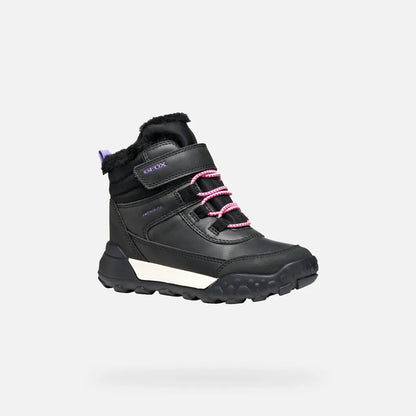 Black/Lilac