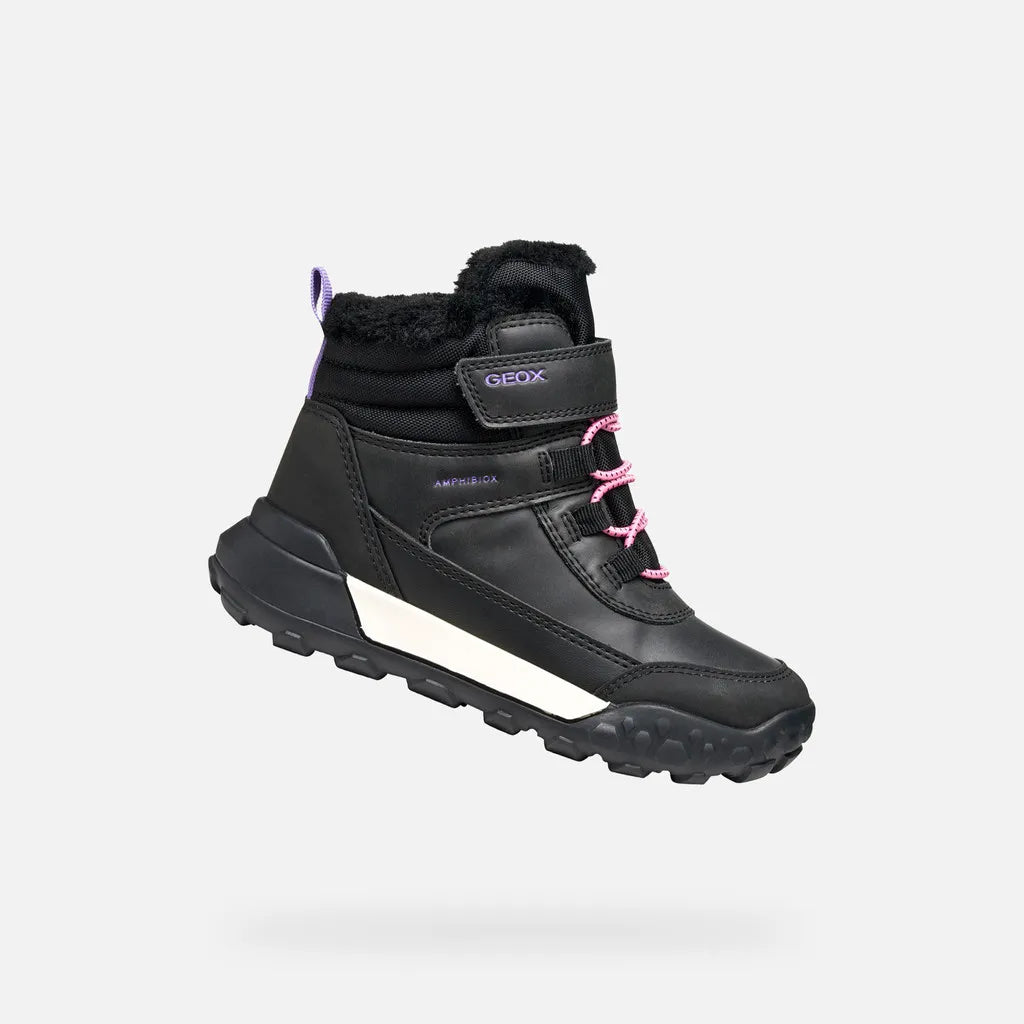 Black/Lilac