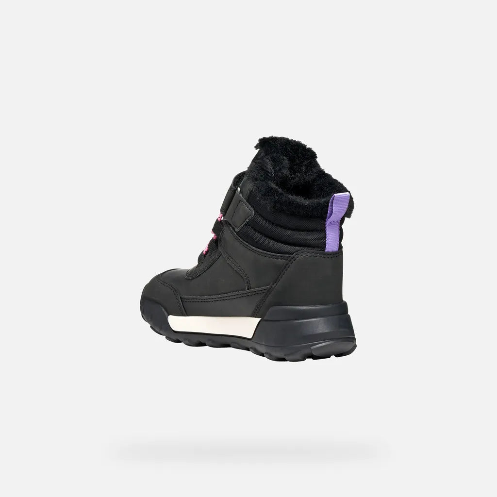 Black/Lilac