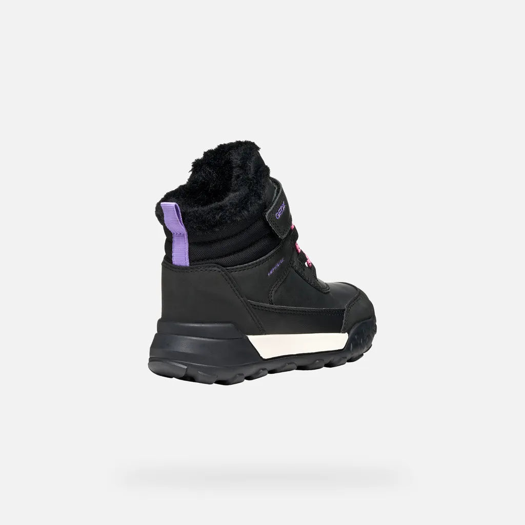Black/Lilac