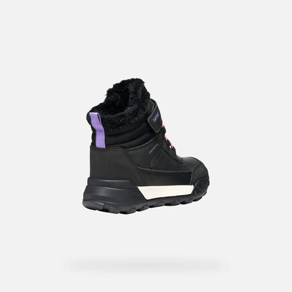 Black/Lilac
