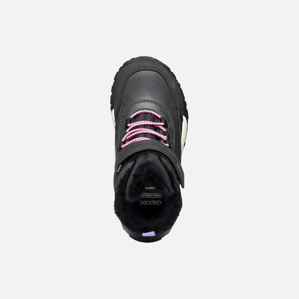 Black/Lilac