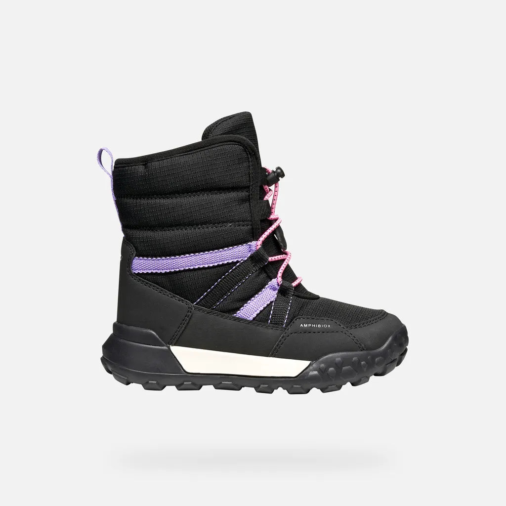 Black/Lilac