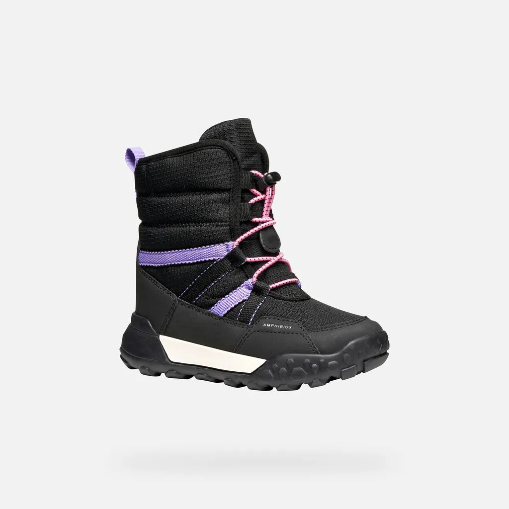 Black/Lilac