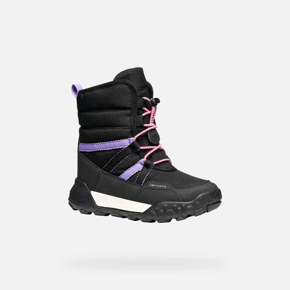Black/Lilac