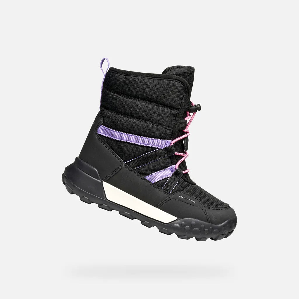 Black/Lilac