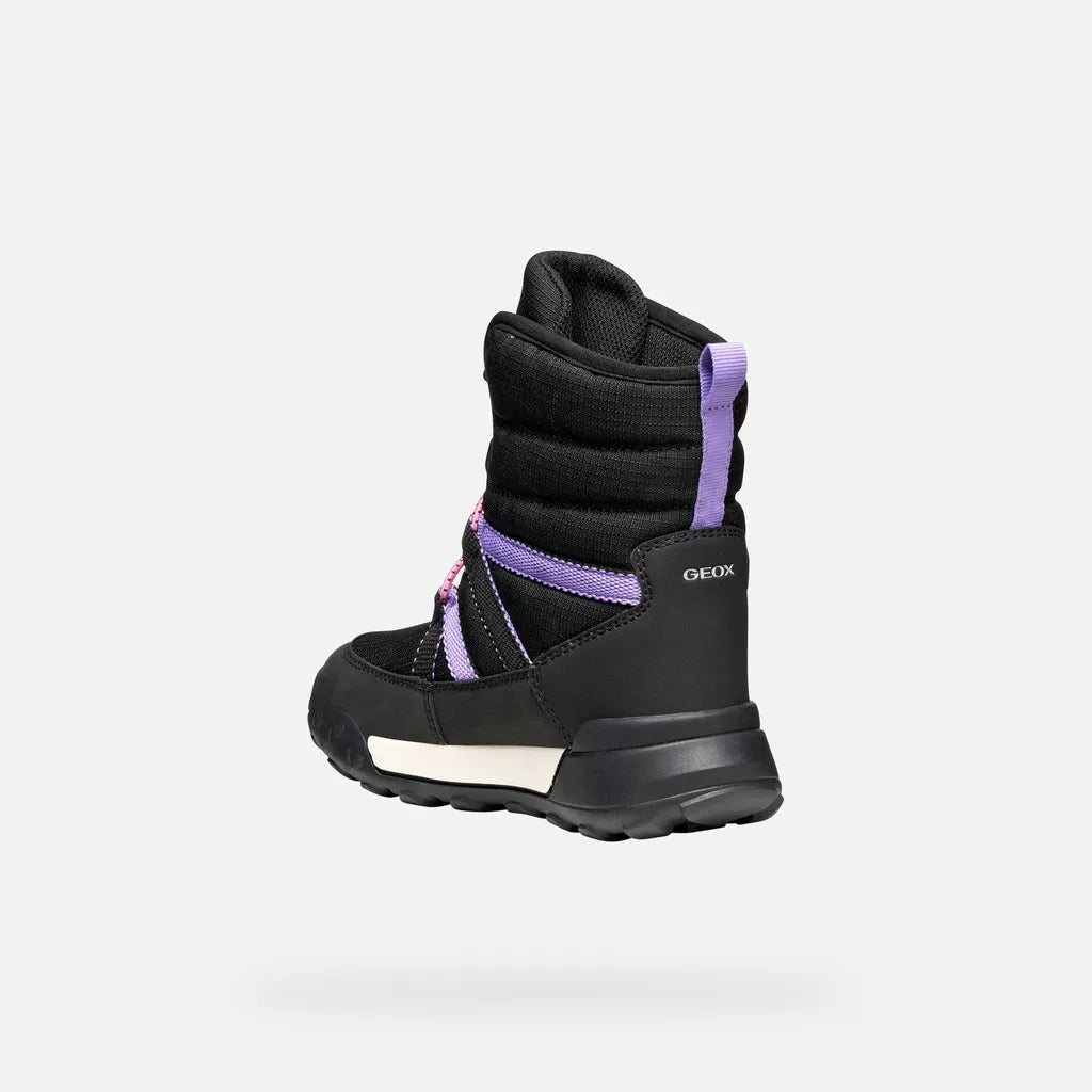 Black/Lilac