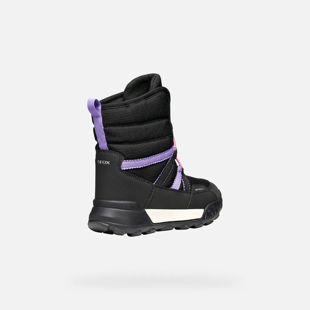 Black/Lilac