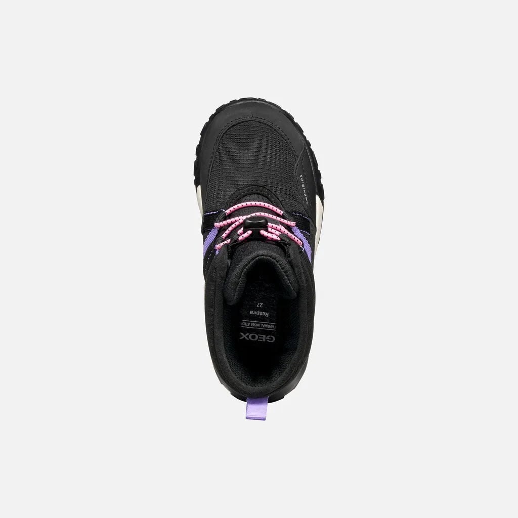 Black/Lilac