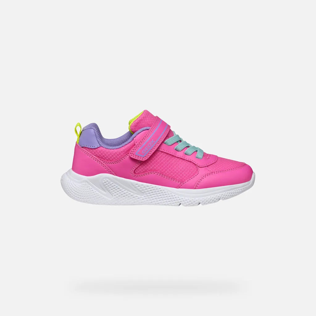 Fluo fuchsia/Dark lilac