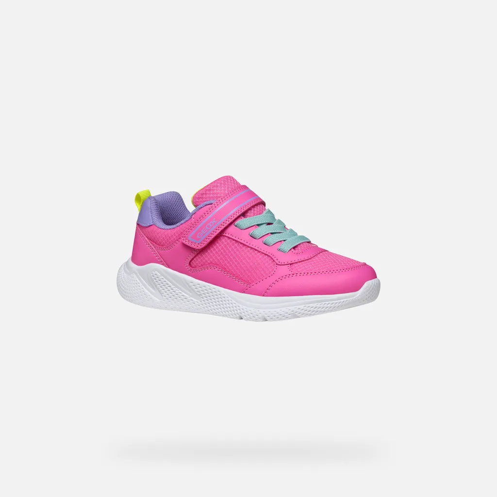 Fluo fuchsia/Dark lilac