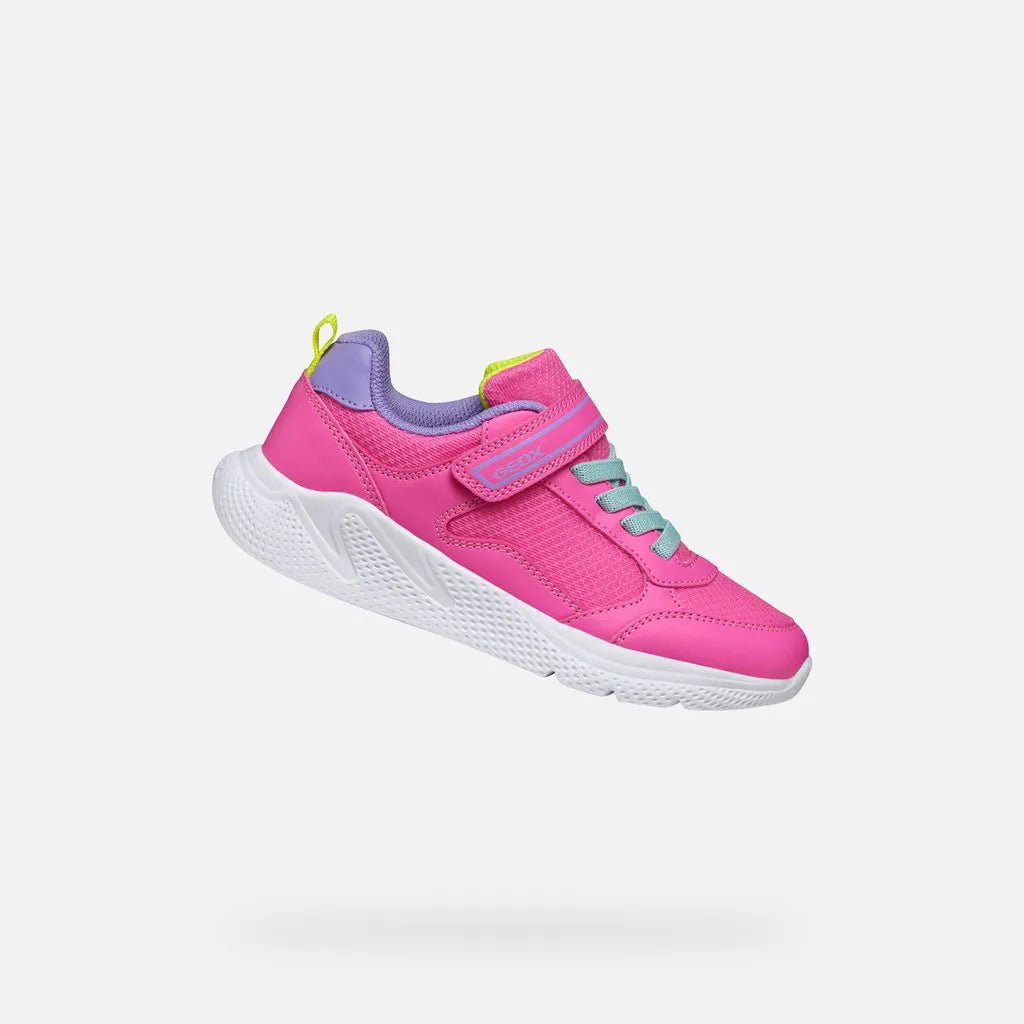 Fluo fuchsia/Dark lilac