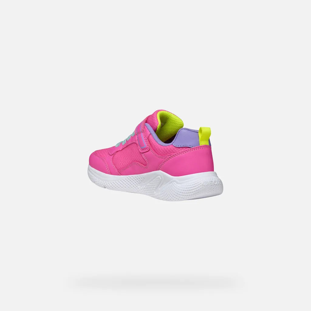 Fluo fuchsia/Dark lilac