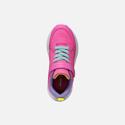 Fluo fuchsia/Dark lilac