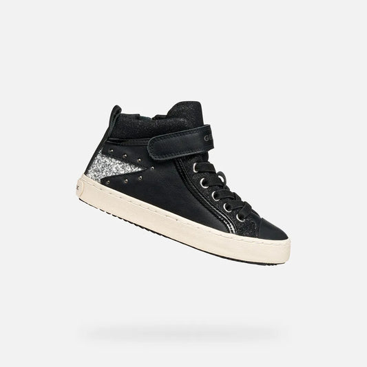 Black/Dark Silver