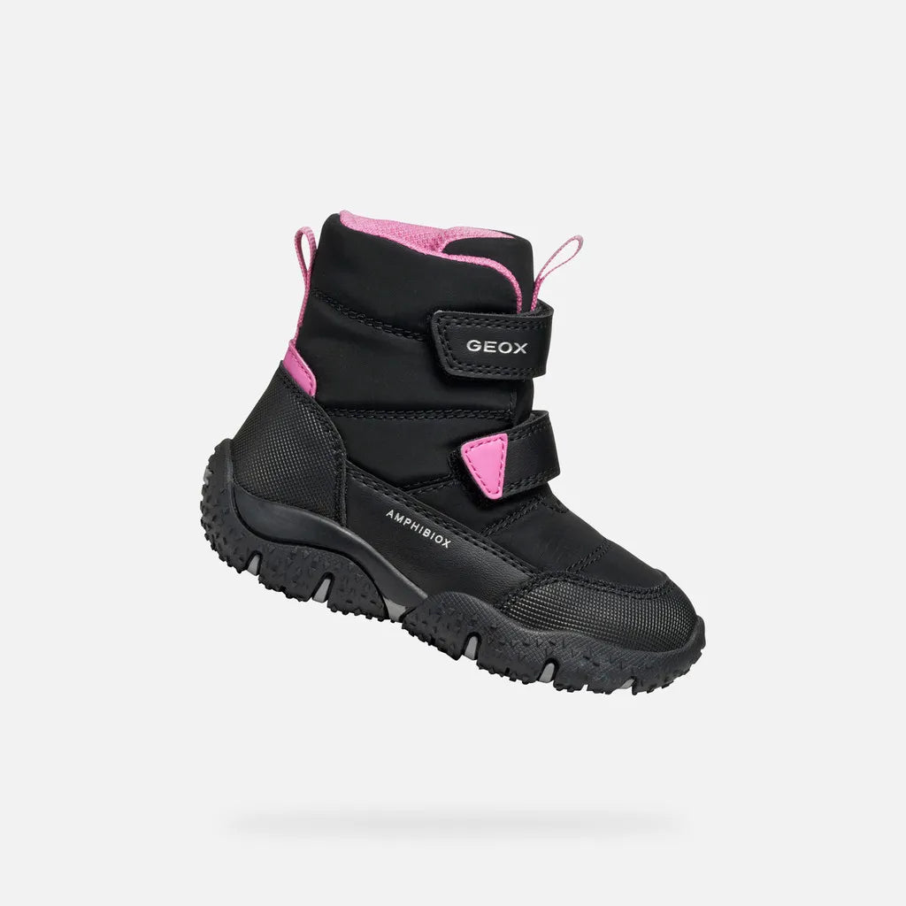 Black/Fuchsia