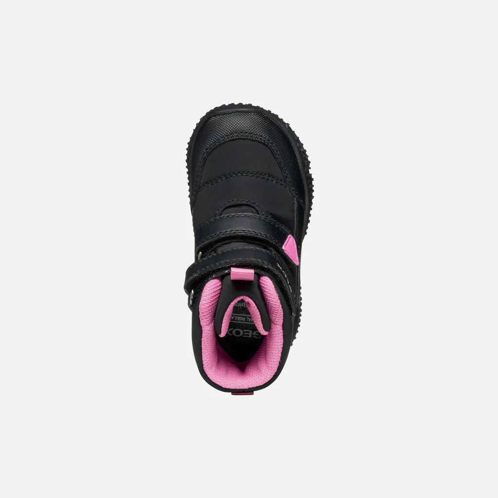 Black/Fuchsia