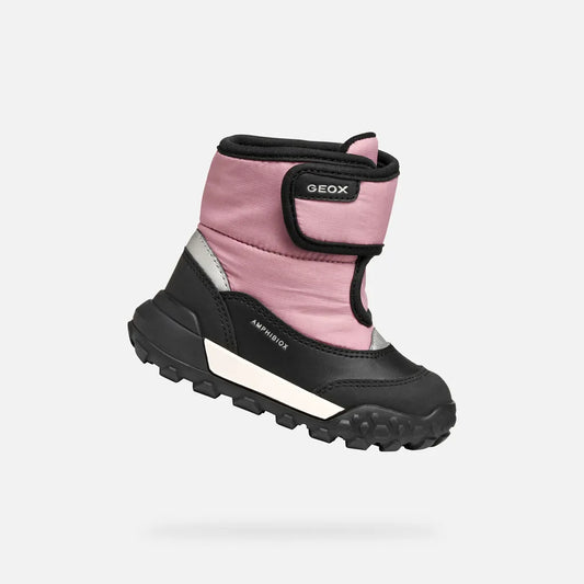Black/Rose