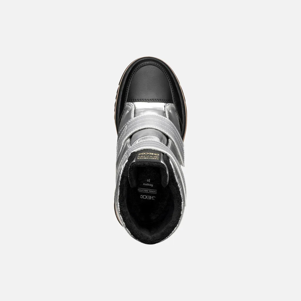 Silver/Black