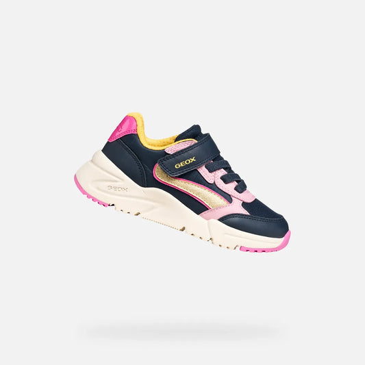Navy/Light rose