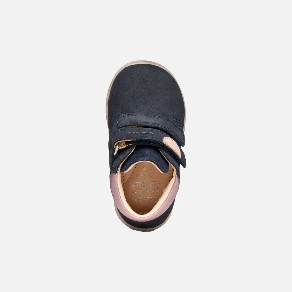 Navy/Light rose