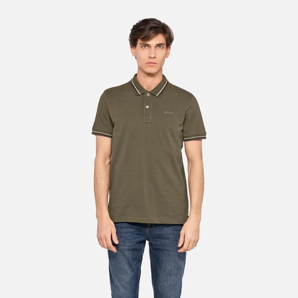 Green olive