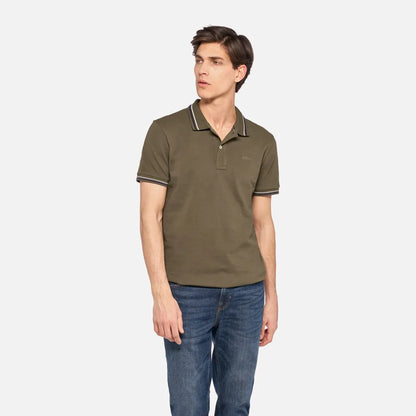 Green olive