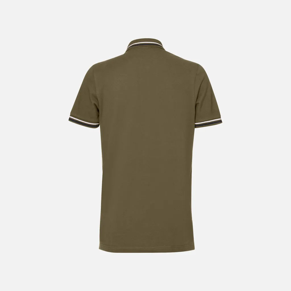 Green olive