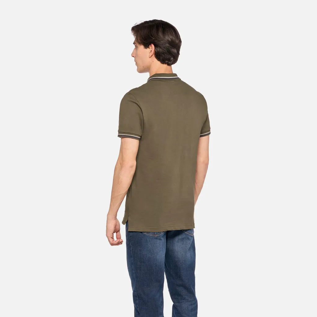 Green olive