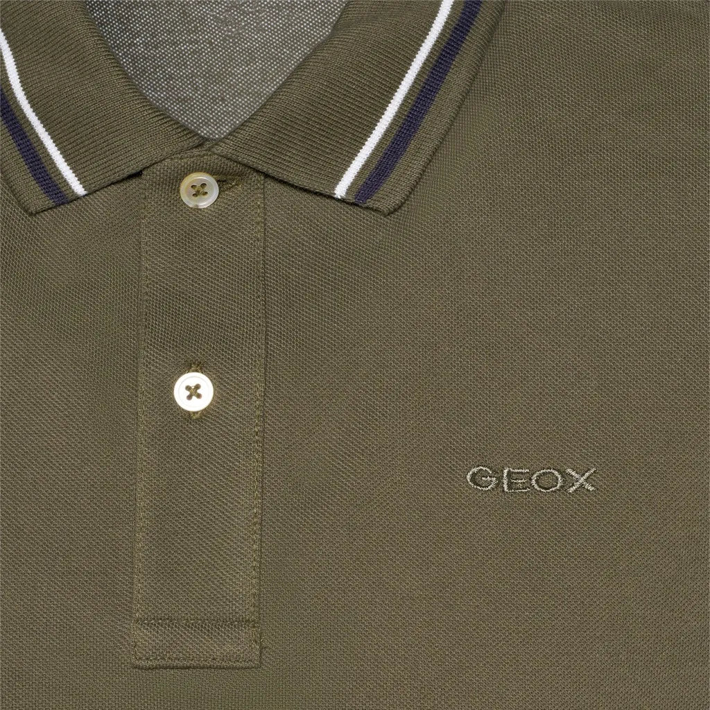 Green olive