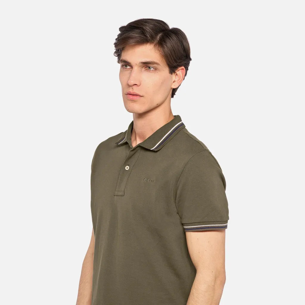 Green olive