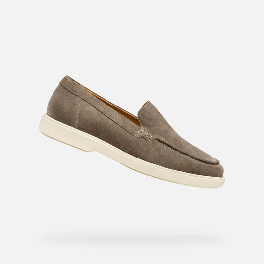 Dove Gray
