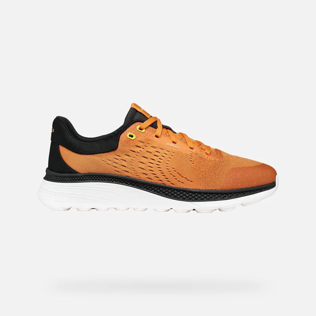 Orange/Black