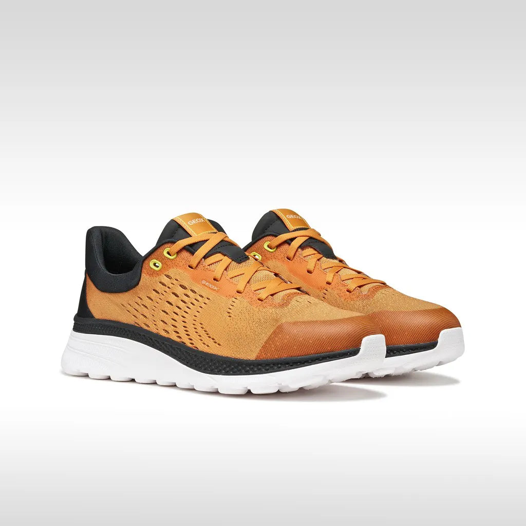 Orange/Black
