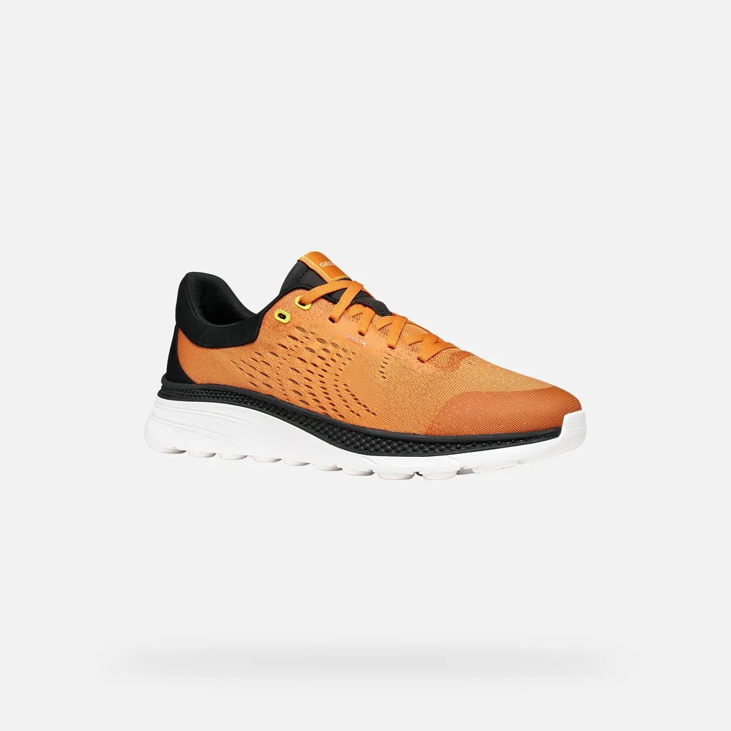 Orange/Black