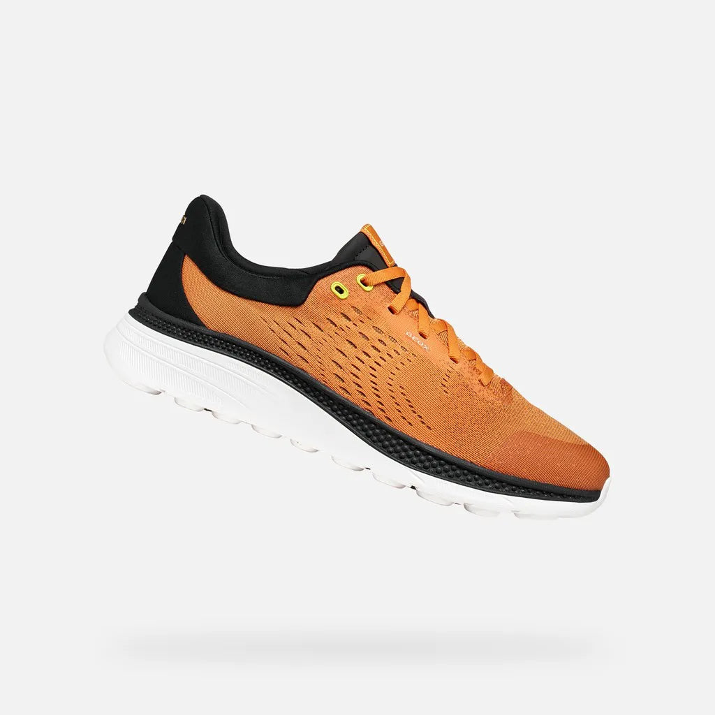 Orange/Black