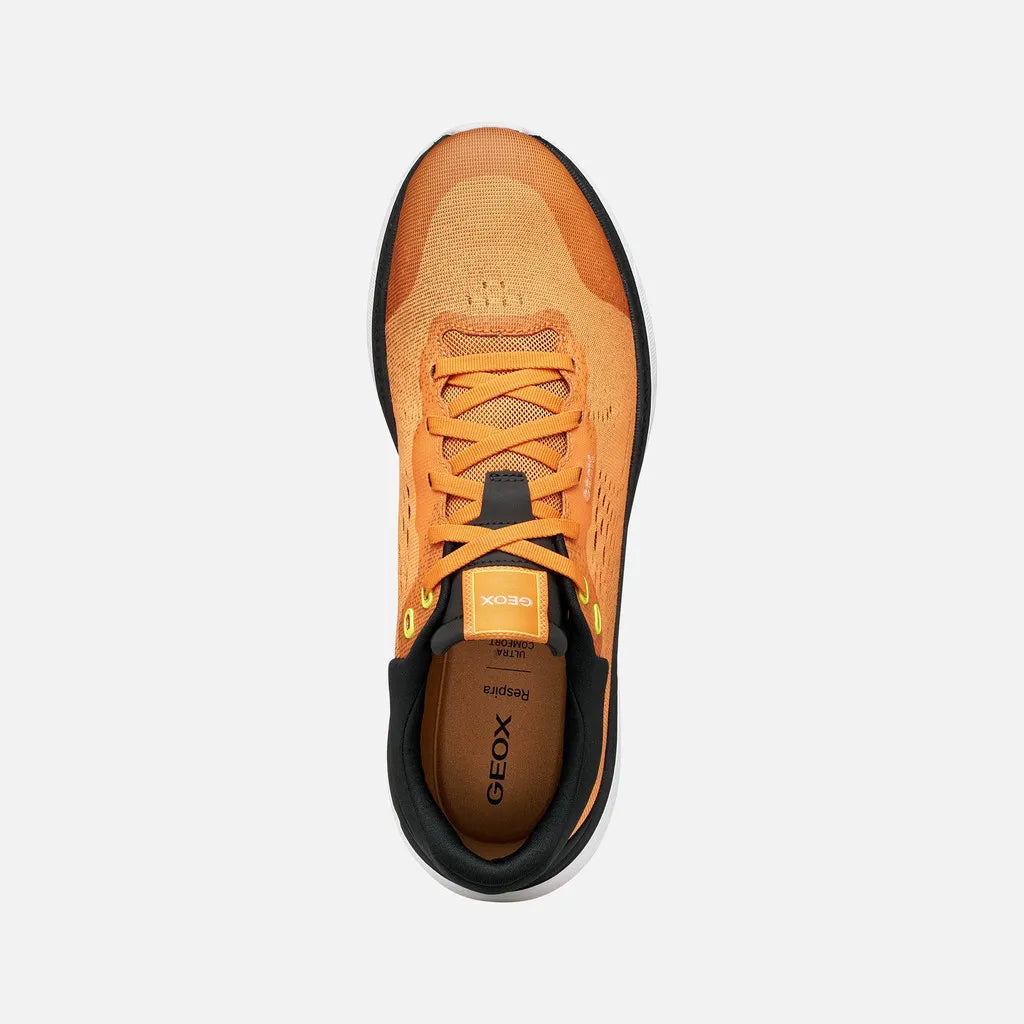 Orange/Black