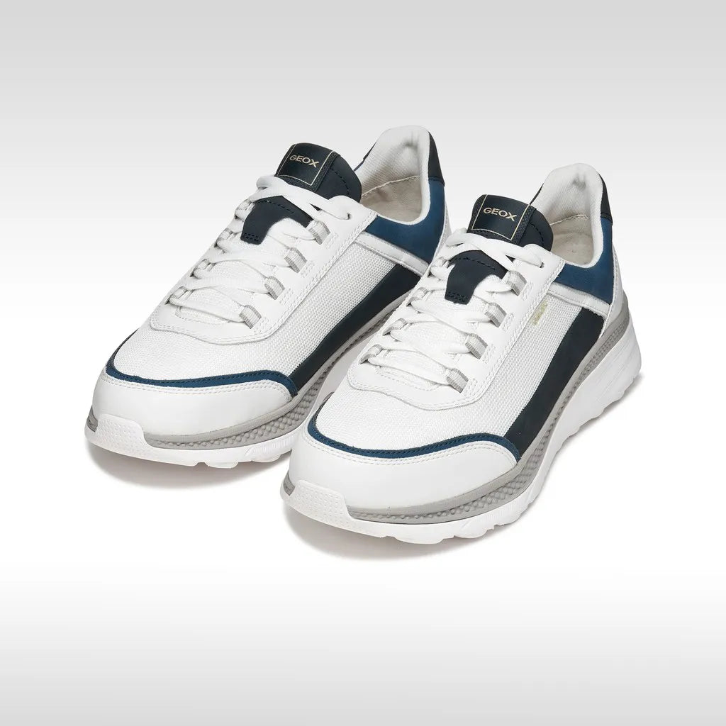 White/Navy