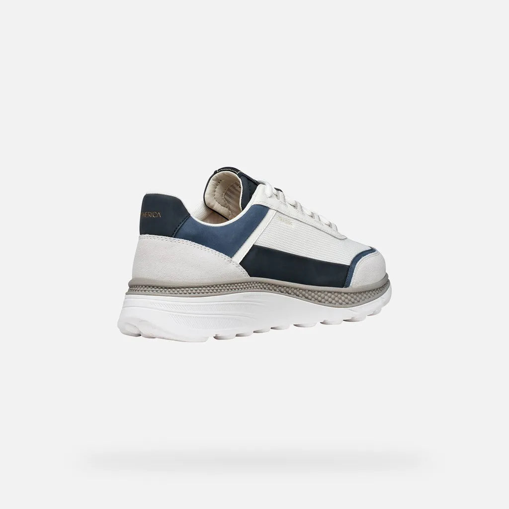 White/Navy