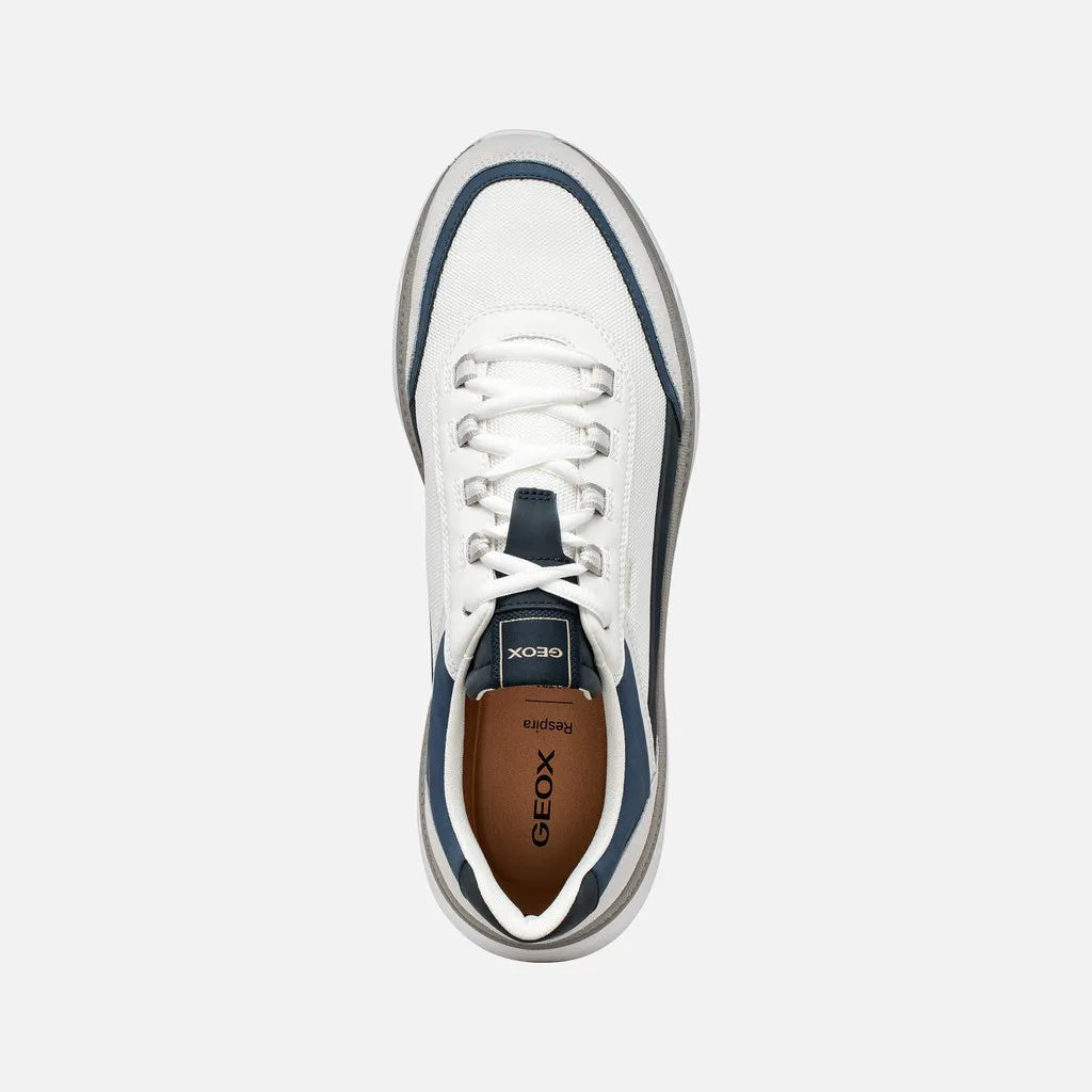 White/Navy