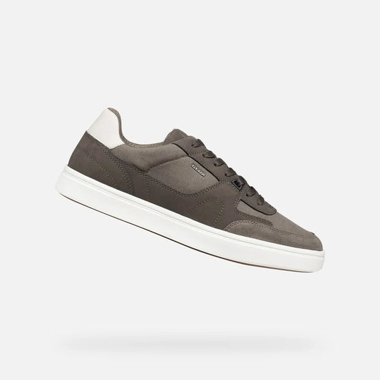 Dove Gray