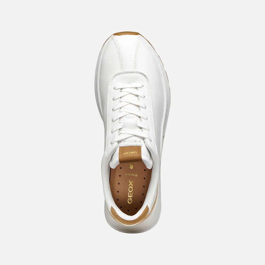 White/Natural