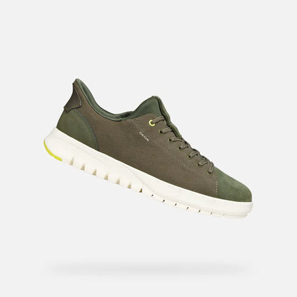 Light Olive Green