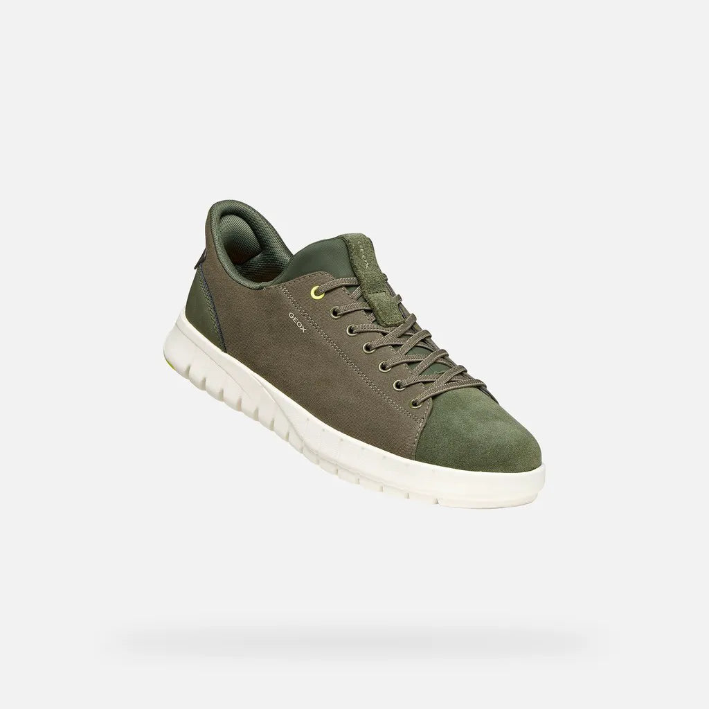 Light Olive Green