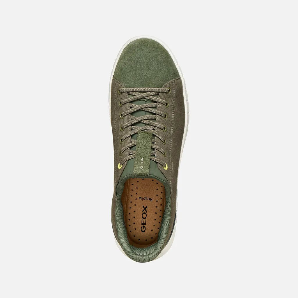 Light Olive Green