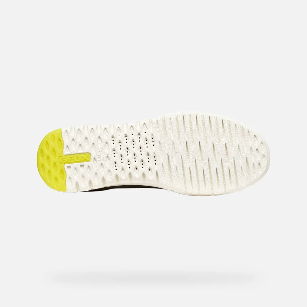 Light Olive Green