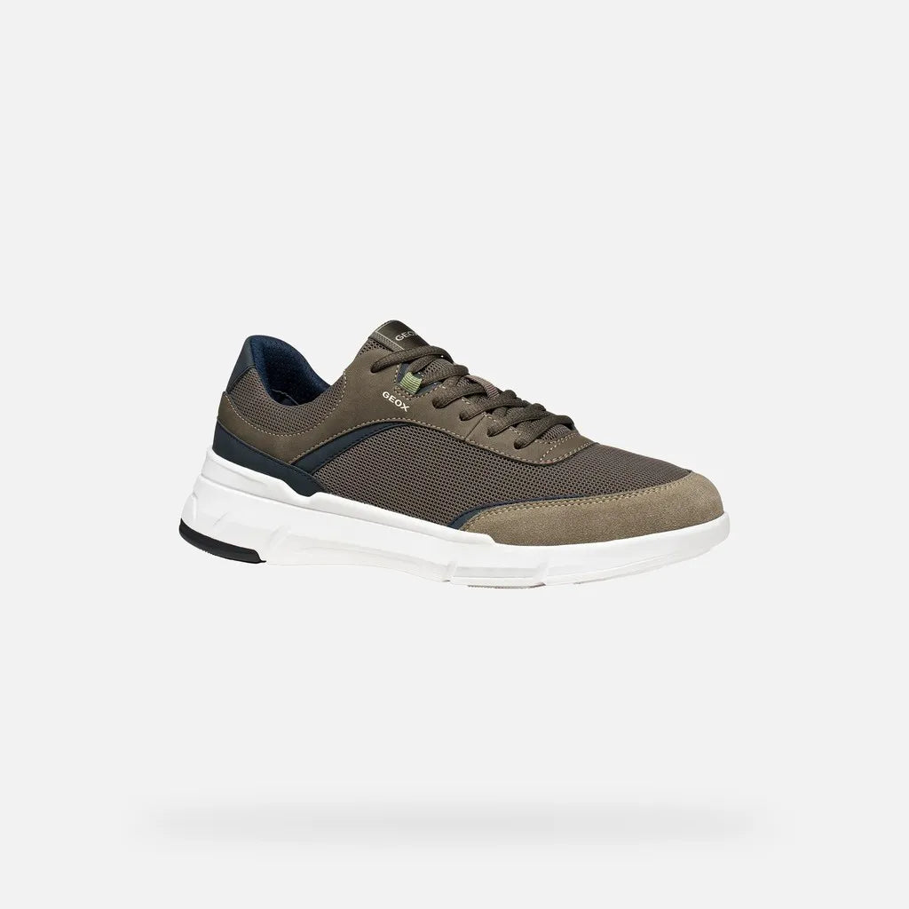 Dove Gray