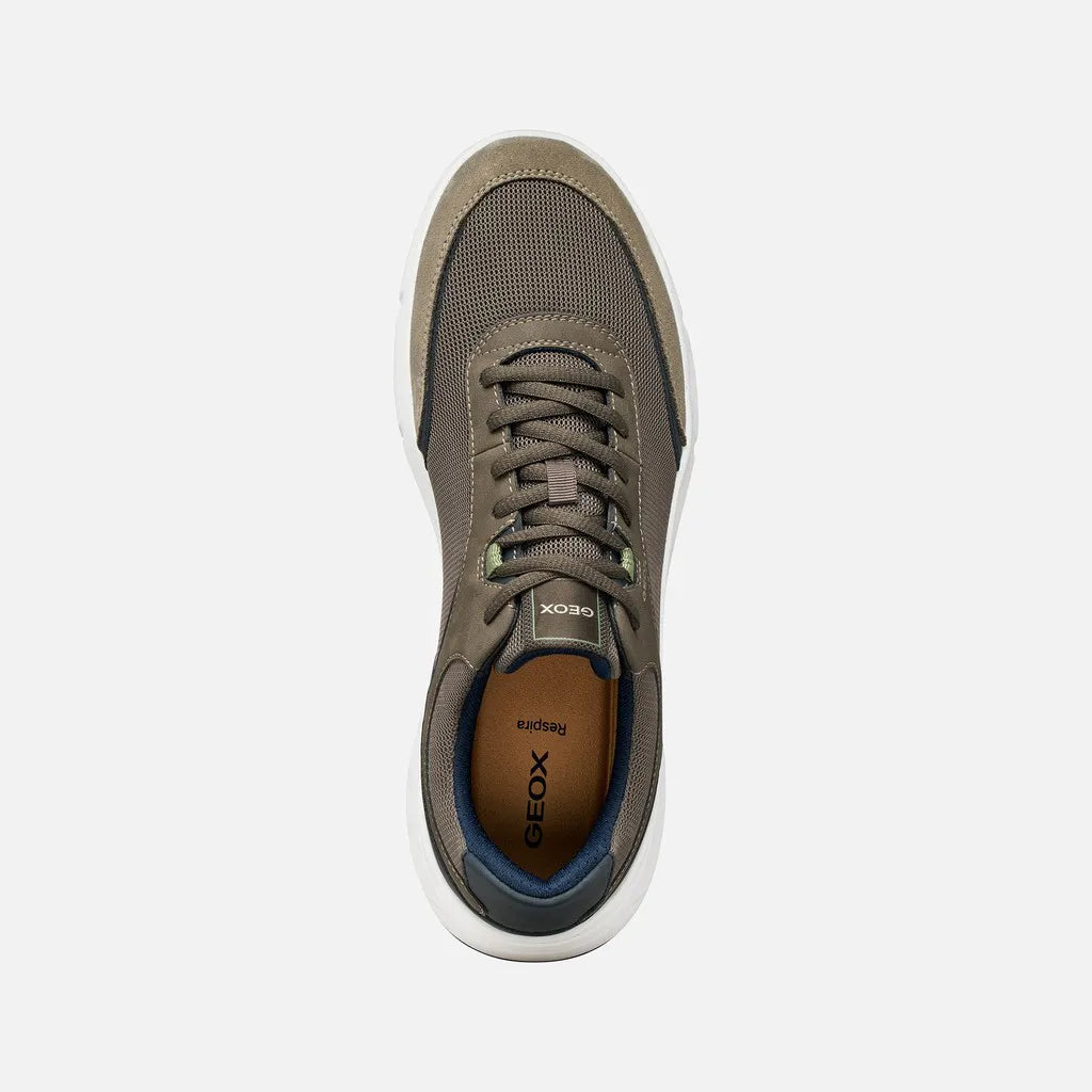 Dove Gray
